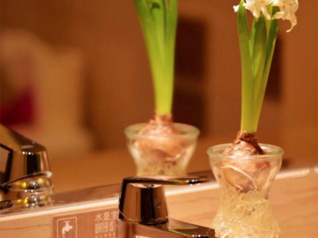 Greentree Inn Beijing Dongcheng District Wangfujin South Luogu Lane Houhai Express Hotel Ngoại thất bức ảnh